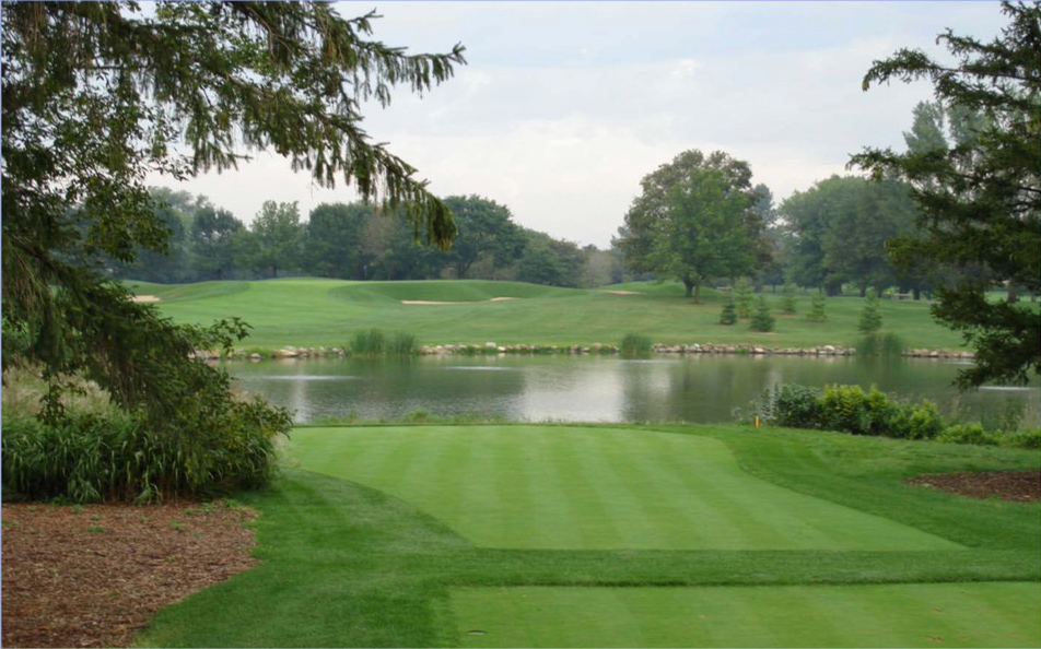 How to remove out of control algae in golf course ponds
