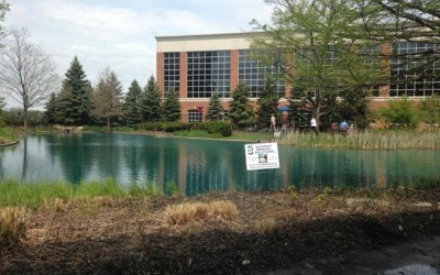 Pond cleaning at Chase Bank